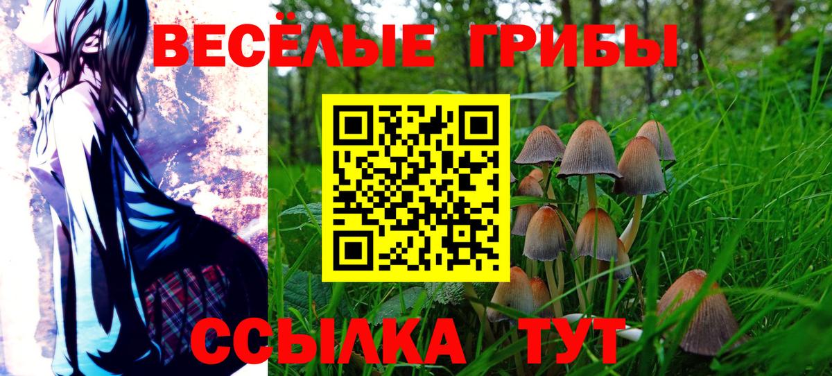 Галлюциногенные грибы мухоморы  Псилоцибиновые грибы Psilocybine cubensis  Черкесск  Вход с VPN 