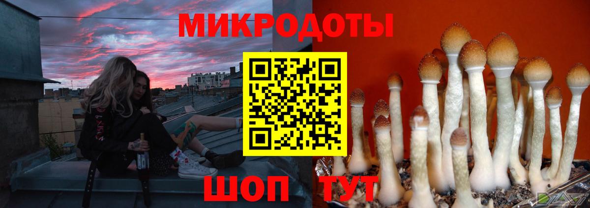 Псилоцибиновые грибы прущие грибы Черкесск